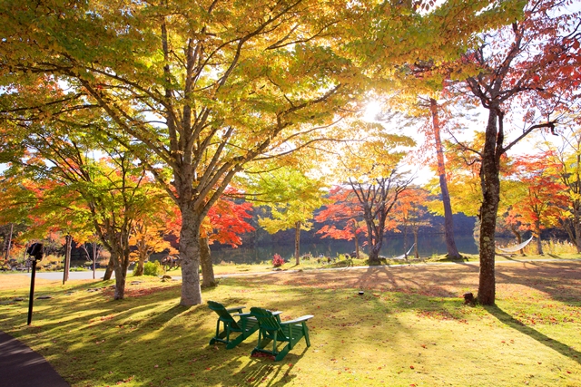 裏磐梯高原ホテル　紅葉